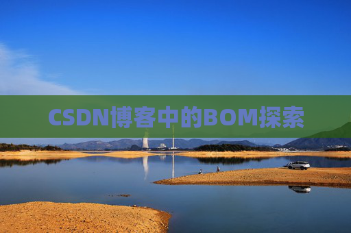CSDN博客中的BOM探索